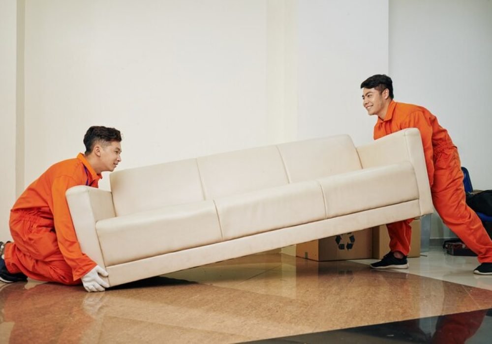 move-in|move-out cleaning move-in|move-out cleaning